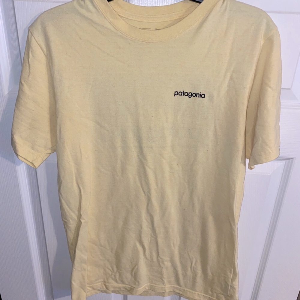 Patagonia t shirt mens small